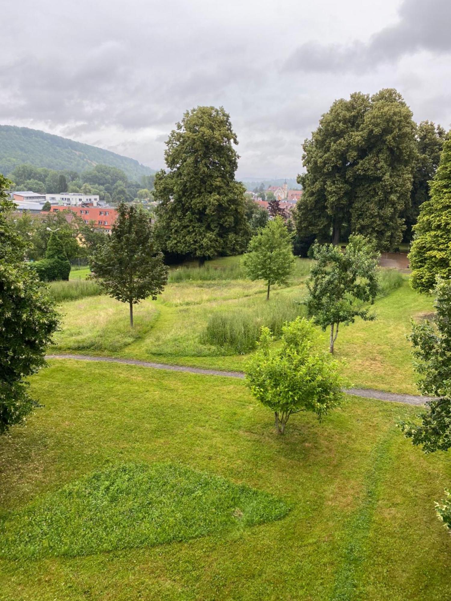 Einzimmer Apartment Niefern-Öschelbronn Εξωτερικό φωτογραφία